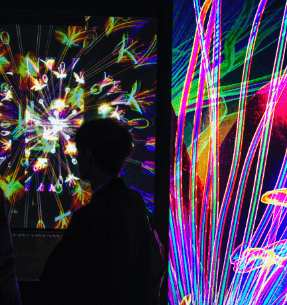 napapijri_bannerback