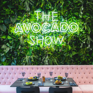 advocado_show_toolkit_Thumbnail