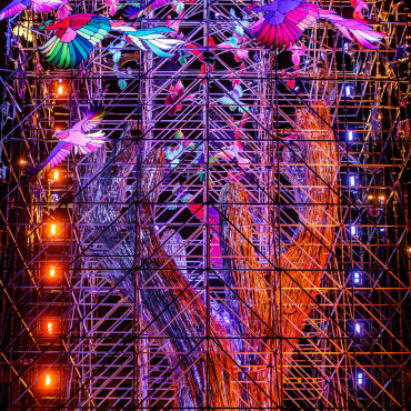 APF_TreeOfHope_BartHeemskerk_Thumbnail