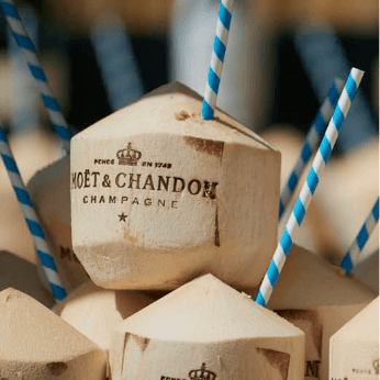 moet_intro
